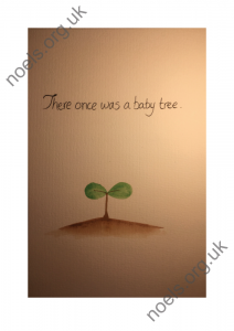 Baby Tree_1